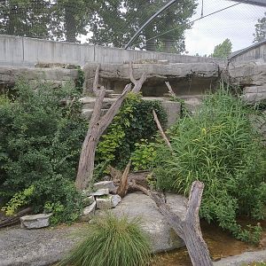 European Wildcat enclosyre