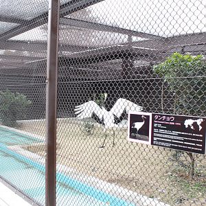 Exhibit design for various crane