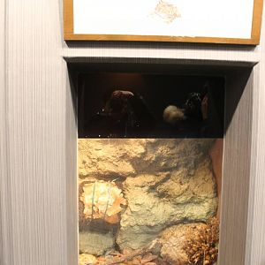 Terrarium for small reptiles/amphibians