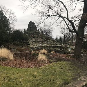 Distant view of ibex enclosure 290118