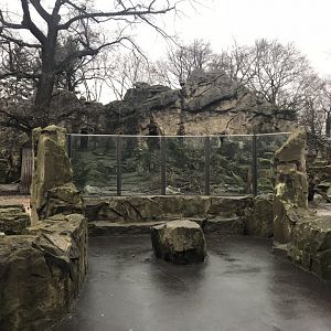 Takin enclosure 290118