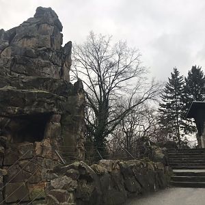 Ibex enclosure 290118