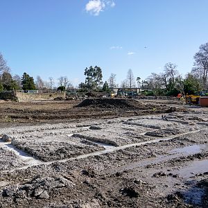 Madagascar Walk-Through