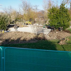 New School Building - 19/03/2018