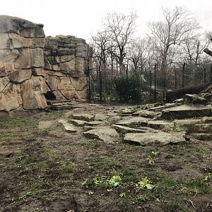 Sloth bear exhibit 290118