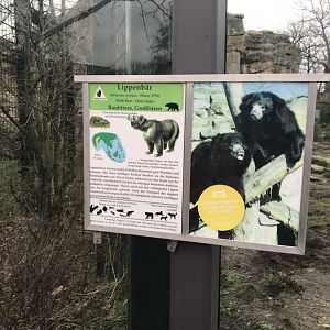 Sloth bear sign 290118