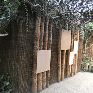 Former Gambian Pouched Rat enclosure in Okapi house
