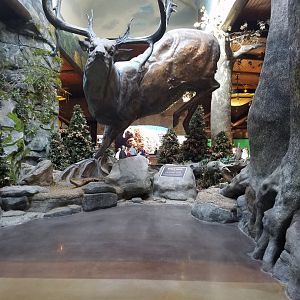 Wonders of Wildlife Museum and Aquarium Entrance