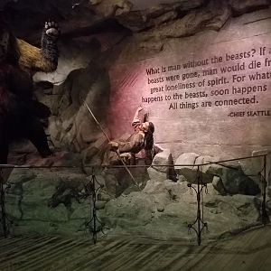 Wonders of Wildlife Museum and Aquarium