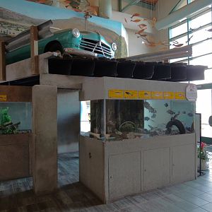 Rio Grande Exhibits