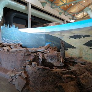 Trout Stream Exhibit