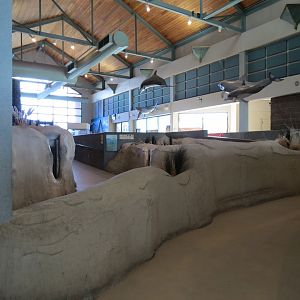 Entrance Room Interior