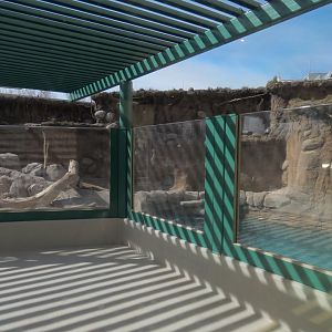 Future River Otter Exhibit