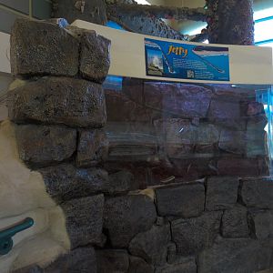 Gulf Coast - Jetty Exhibit