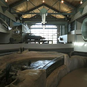 Entrance Room Interior