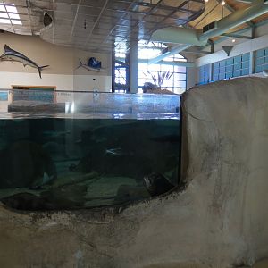 Shallows and Shores Exhibit