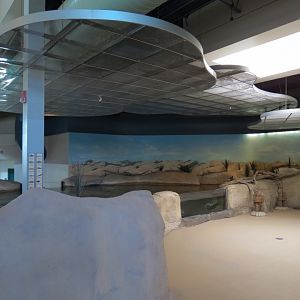 Shallows and Shores Exhibit