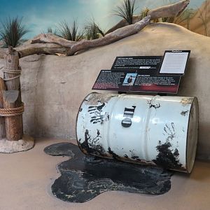 Shallows and Shores Exhibit - Oil Spill Display