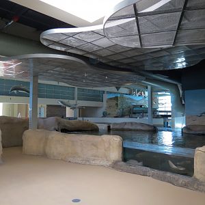 Shallows and Shores Exhibit