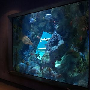 Inside the Wreck Exhibit