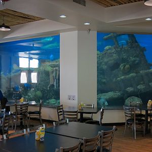 Shark Reef Cafe - View of Shark Tank Ehibit