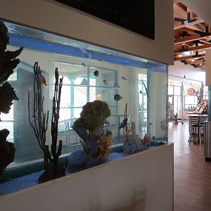 Shark Reef Cafe - Tropical Saltwater Exhibit