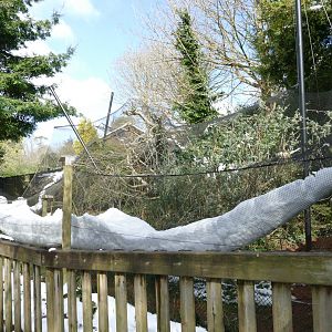 Emperor Tamarin enclosure, March 2018