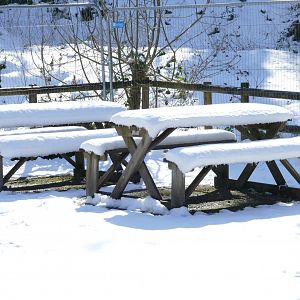 Picnic anyone? 20 March 2018