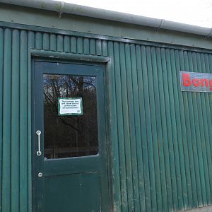 Bongo house, March 2018