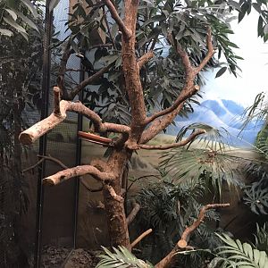 World of Birds - example of aviary interior 290118