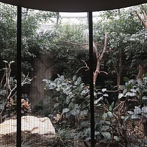 World of Birds aviary example 290118