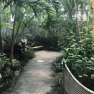 World of Birds - Walkthrough aviary 290118