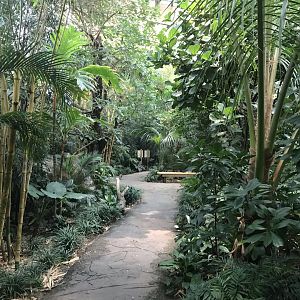 World of Birds - Walkthrough aviary 290118