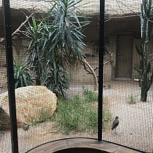 World of Birds - aviary example 290118