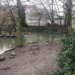 Waterfowl lake 290118