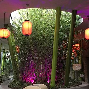 Bamboo display inside Giant Panda House 290118