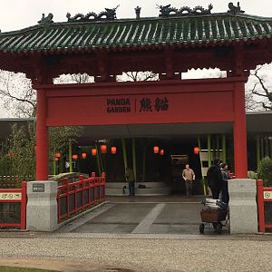Giant Panda House entrance 290118