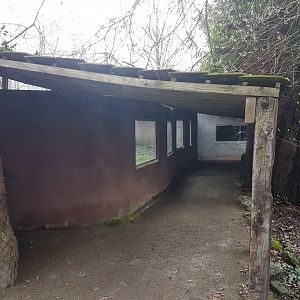 Viewing-windows Lion-enclosure