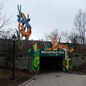 2/24/2018 - Entry Tunnel