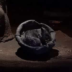 2/24/2018 - Nice and Cozy!