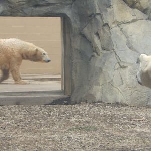 2/24/2018 - Eyeing Up Nan