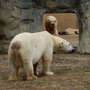 2/24/2018 - Eyeing Up Hudson