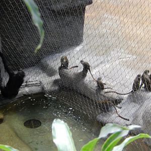 2/24/2018 - What's Up, Neighbors?