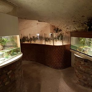 Cellar - Turtle and Toad-enclosures