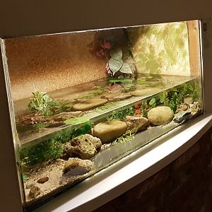 Axelotl-enclosure