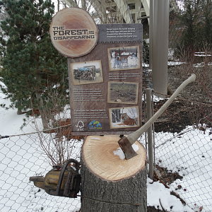 Mar. 2018 - Tiger Passage - Deforestation Graphic