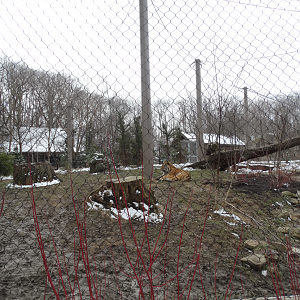 Mar. 2018 - Tiger Passage - River Habitat