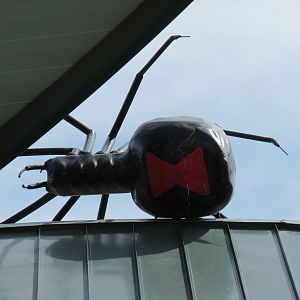 Bugarium - Exterior - Black Widow Sculpture