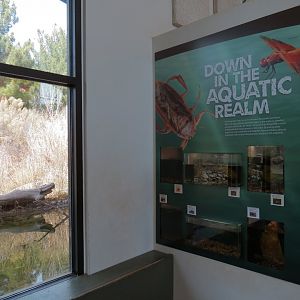 Bugarium - 6 Aquatic Exhibits