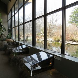 Bugarium - 3 Aquatic Exhibits and Pond View